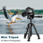 JOILCAN Mini Tripod for Camera, 25" Tabletop Camera Tripod, Portable Travel Tripod w/Phone & Tablet Holder, Lightweight Aluminum Tripods for DSLR Phone Spotting Scope(US)