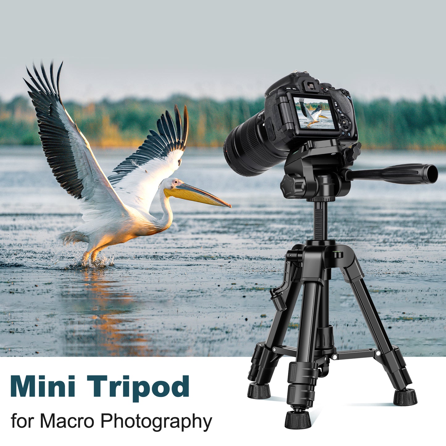 JOILCAN Mini Tripod for Camera, 25" Tabletop Camera Tripod, Portable Travel Tripod w/Phone & Tablet Holder, Lightweight Aluminum Tripods for DSLR Phone Spotting Scope(US)