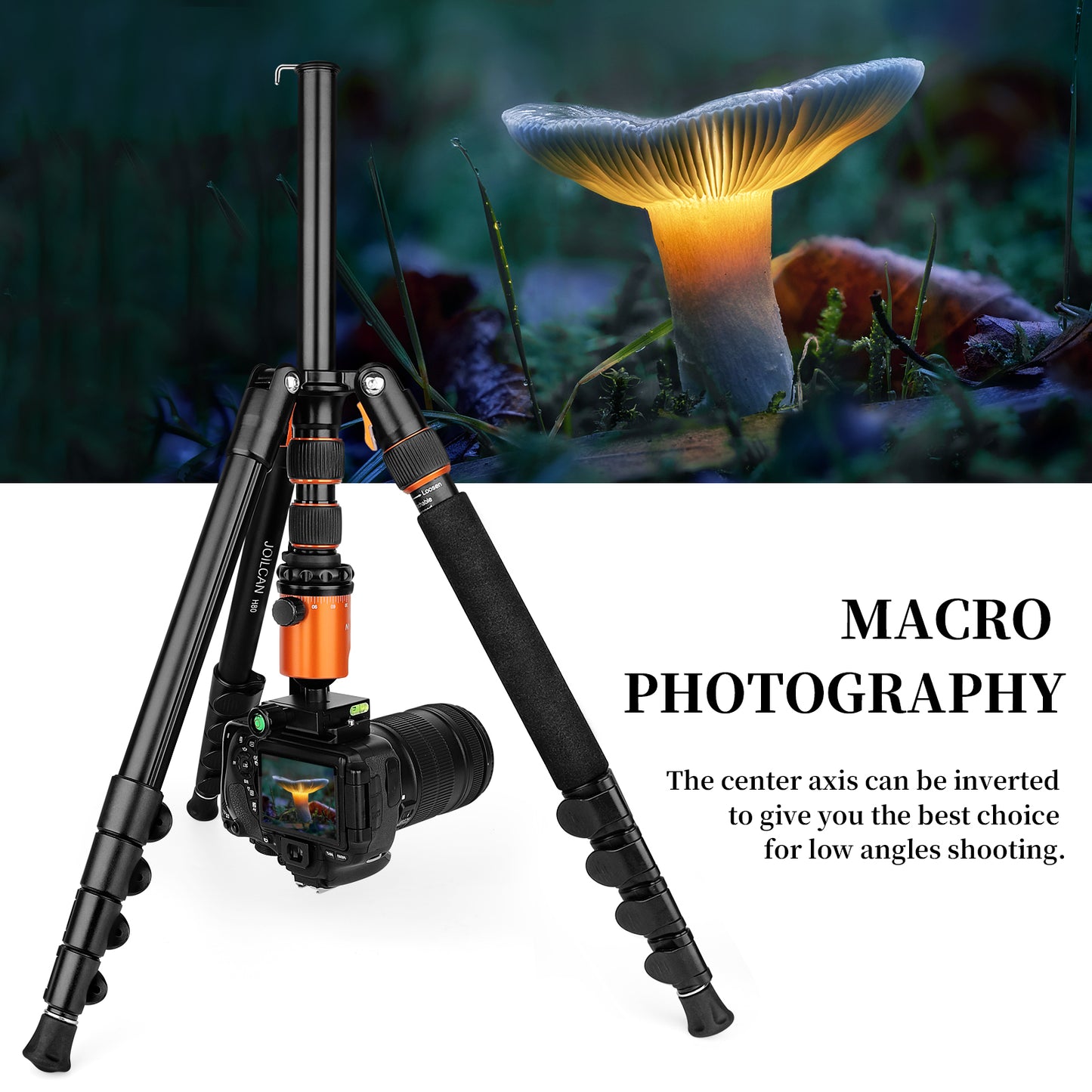 JOILCAN Camera Tripod, 80" Compact Aluminum Tripod Monopod with 360°Panorama Ball Head, Lightweight Travel Tripod with Phone Holder and carrying bag, Max Load 22lbs(EU)