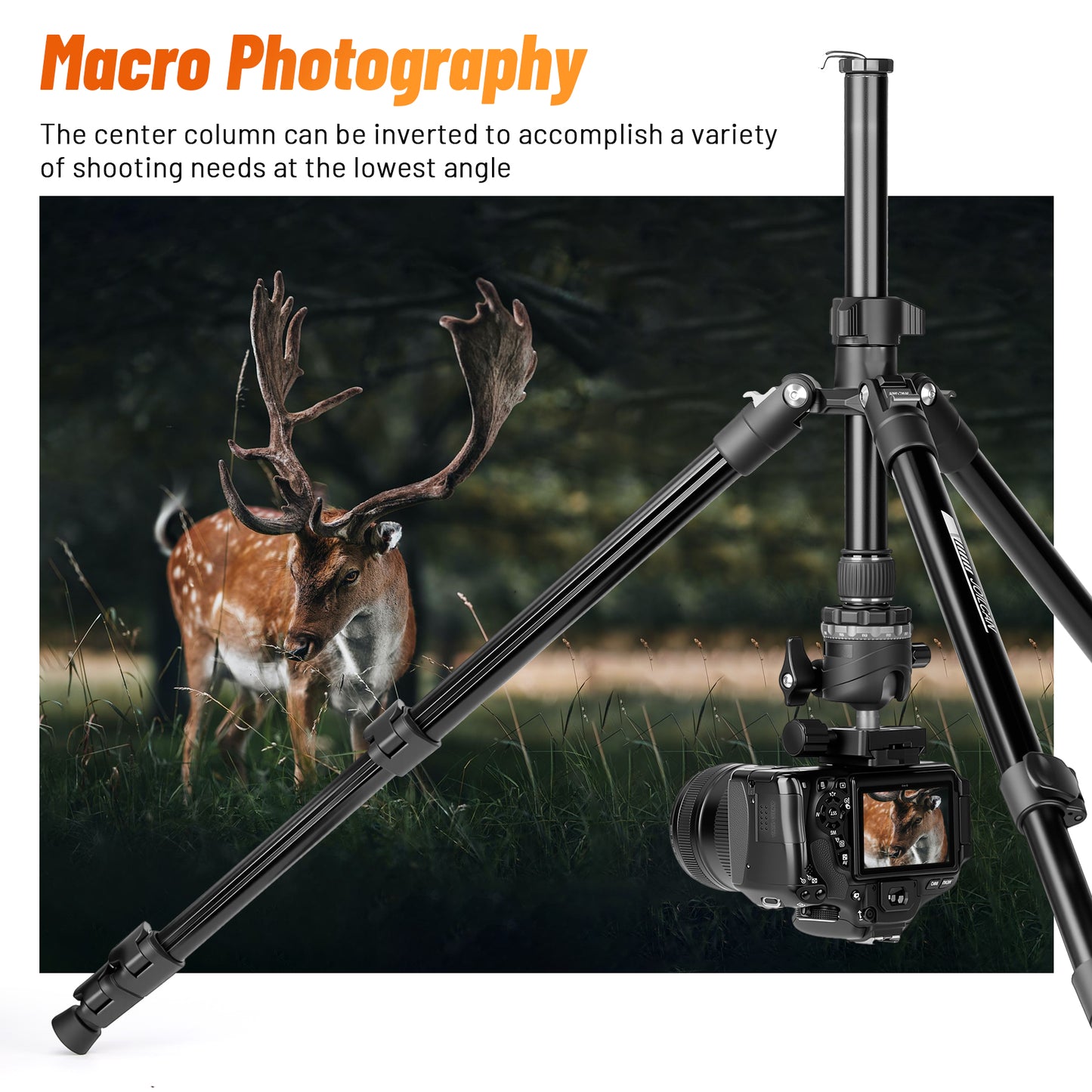 JOILCAN 66" Camera Tripod, Lightweight Travel Tripod with 360° Ball Head & Phone Holder, 22lbs Max Load for DSLR, Camera, Phone, Video & Photography (Grey)（US）