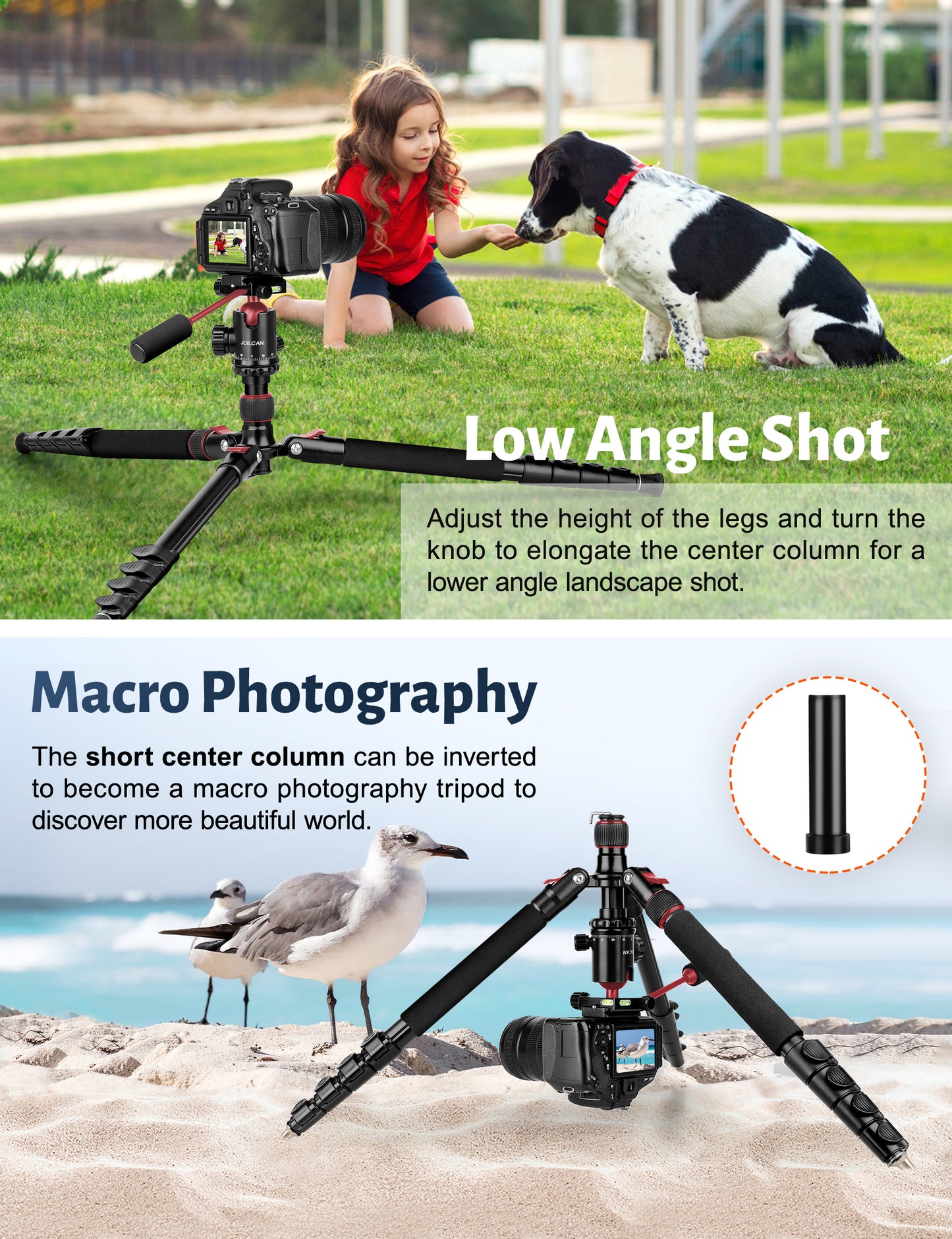 JOILCAN Camera Tripod, 83" Heavy Duty Aluminum Tripod for DSLR/Camera/Smartphone - with Handle, Converts to Monopod, Holds 35lbs(US